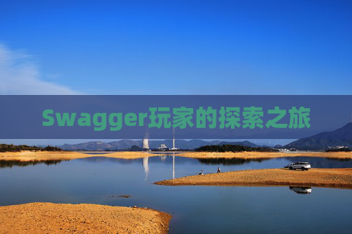 Swagger玩家的探索之旅